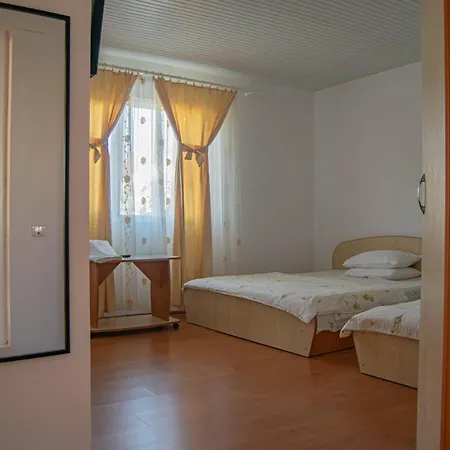 Pensionat Vila Alexia Costinesti