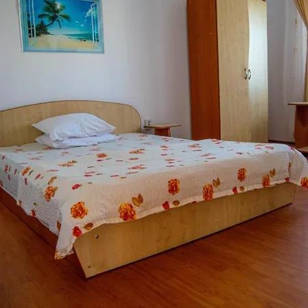 Vila Alexia Pensionat *