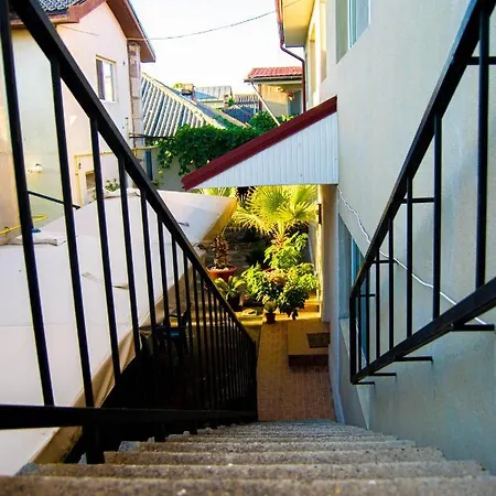 Pensionat Vila Alexia *