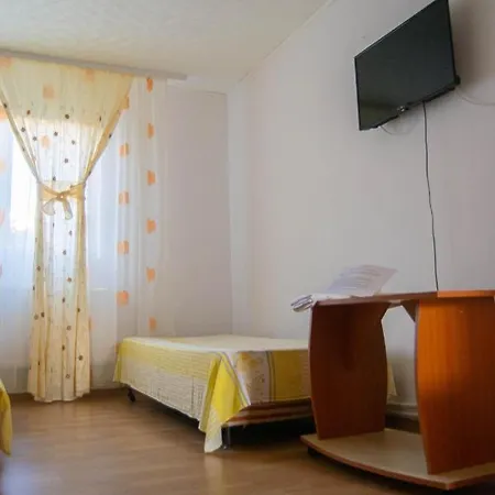 Pensionat Vila Alexia *