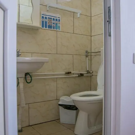 Vila Alexia Pensionat *