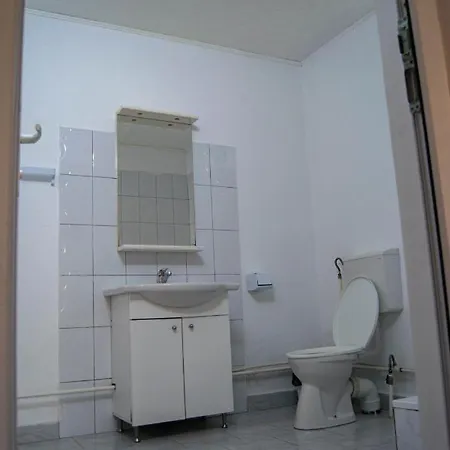 Pensionat Vila Alexia